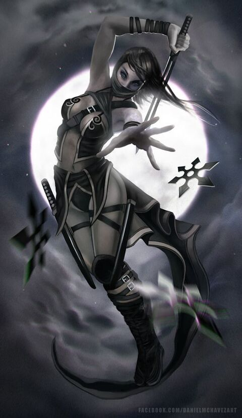 Header of cosplayfrancoiseninja