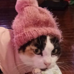 Download cossette OnlyFans content for free 

 profile picture