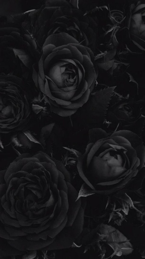 Header of croftler