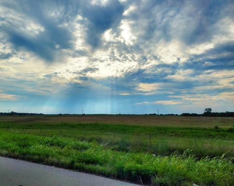 Header of daddyscumslut86