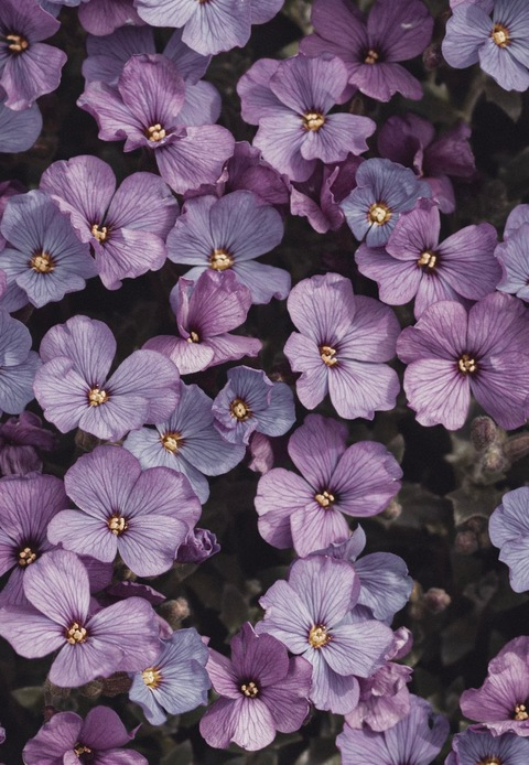 Header of danielf1992