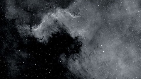 Header of dayansarteaga