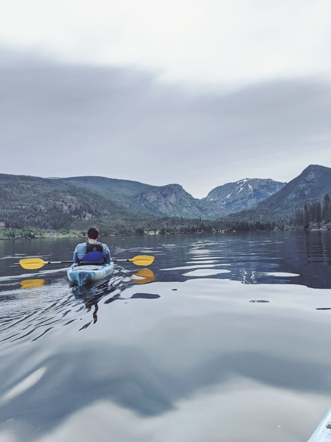 Header of dicksondicks