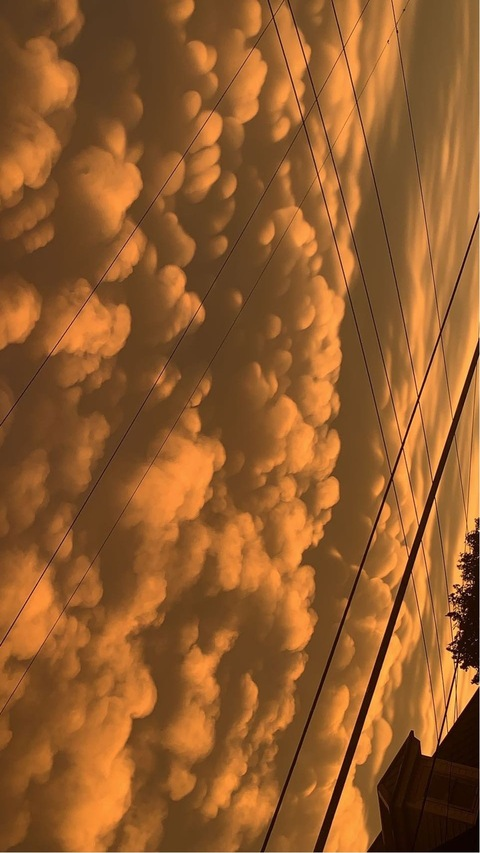 Header of discolemonadejade