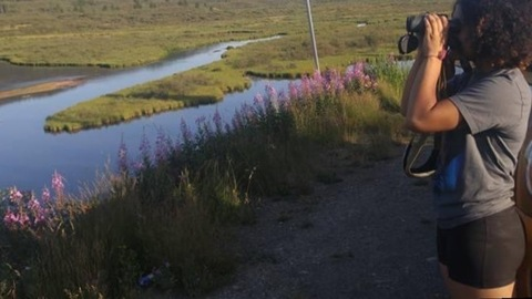 Header of dominiqueskyes