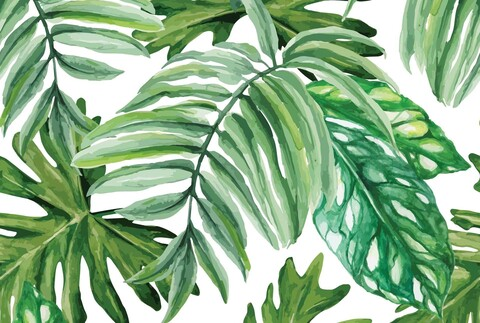 Header of edendavies