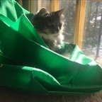 eliya (Capn Bible boy) free OnlyFans Leaked Videos and Pictures 

 profile picture