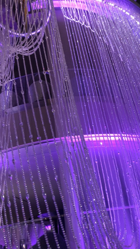 Header of elizabeth1313