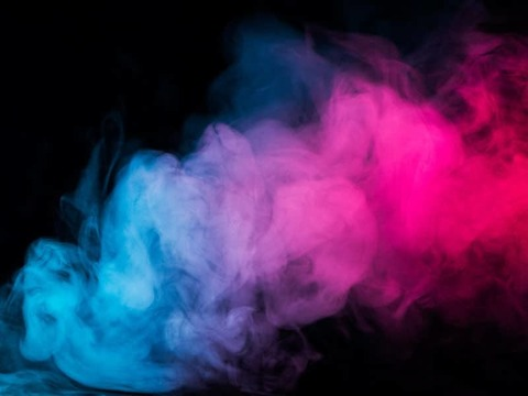 Header of elizabreeze