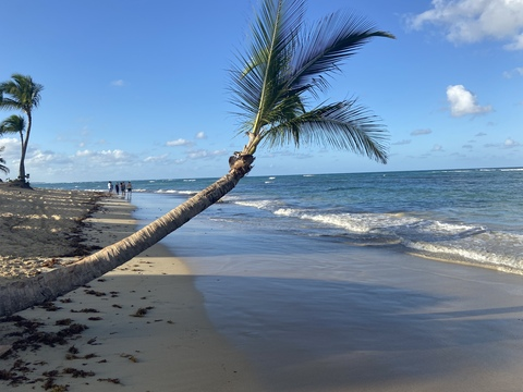 Header of emmmisabelle