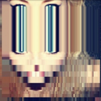 Onlyfans leaked erica 

 profile picture