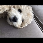 Onlyfans leaks ericarae 

 profile picture