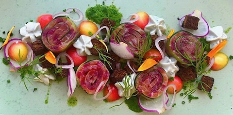 Header of erinntherawest