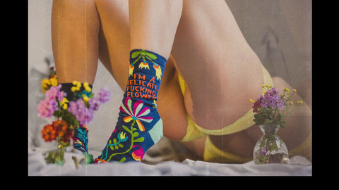 Header of fine_lines_free