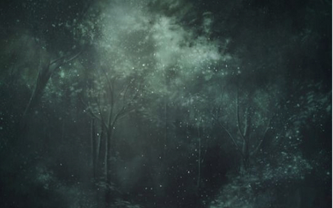 Header of fox.emerald
