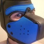 foxpupray (🦊FoxPupRay🦊) OnlyFans Leaked Videos and Pictures 

 profile picture
