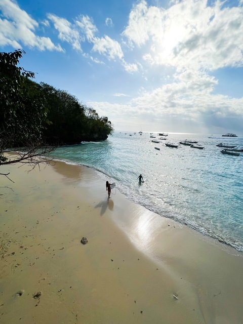 Header of free_jonny