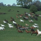 Download fujian OnlyFans leaks for free 

 profile picture