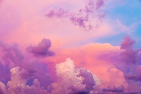 Header of gandry