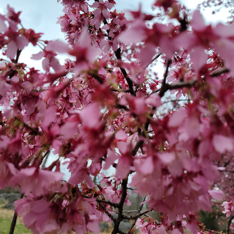 Header of gassyjiggly