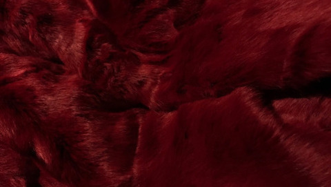 Header of goddesspamela_