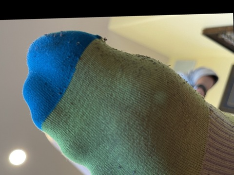 Header of goddesszeldafeet11