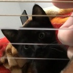 Onlyfans leaked gomulski 

 profile picture