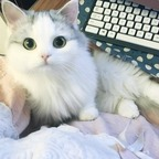 Onlyfans leaks hanya_no_1 

 profile picture