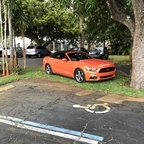 harlem (Ralph Angel) free OnlyFans Leaked Pictures and Videos 

 profile picture