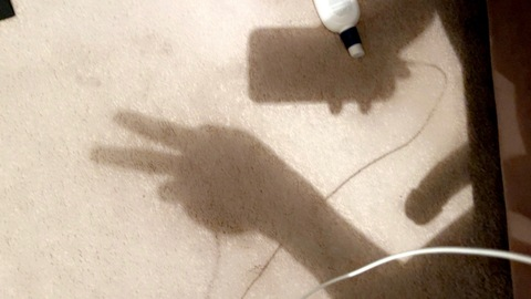 Header of himothystrokes