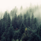 hippyboy (Ty) OnlyFans Leaked Videos and Pictures 

 profile picture