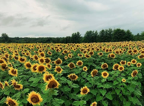 Header of hisbabygirl94