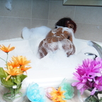 Onlyfans leaks honeybrowncoco 

 profile picture