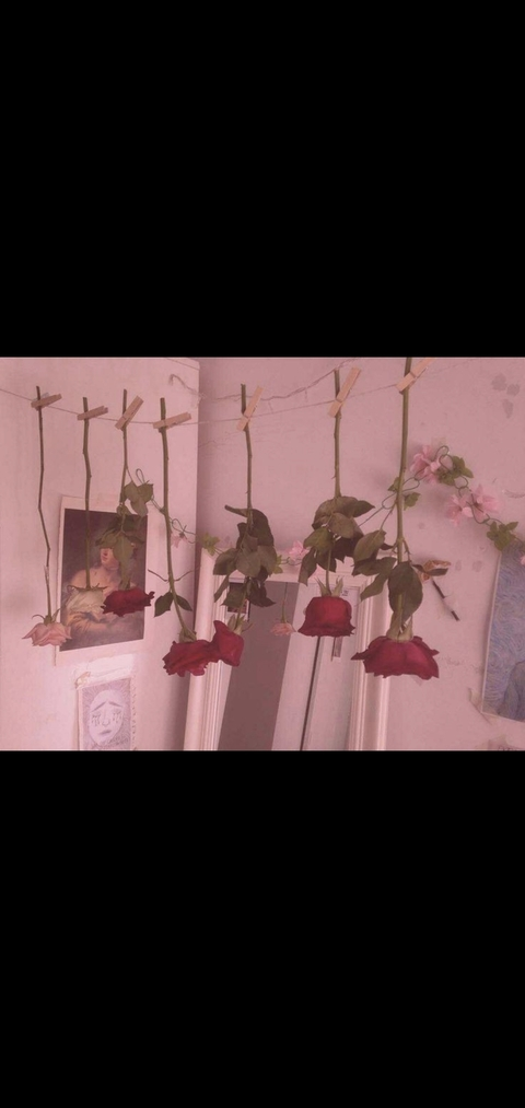 Header of horrorfairy