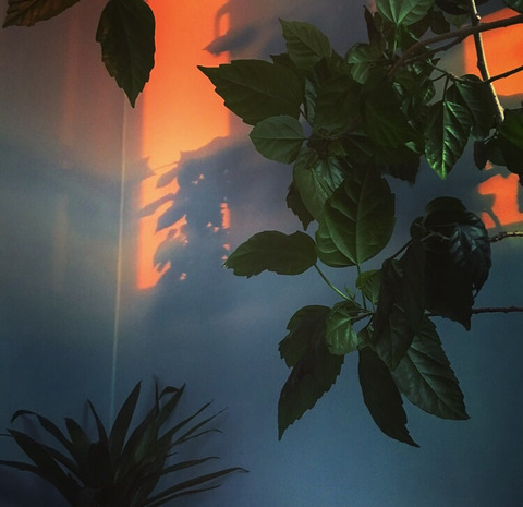 Header of idontclaire