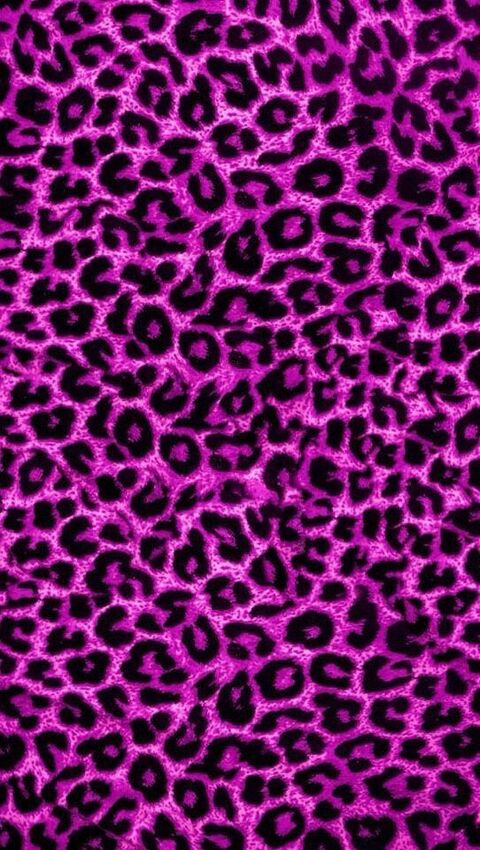Header of ilarytaboo