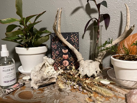 Header of indiajadex