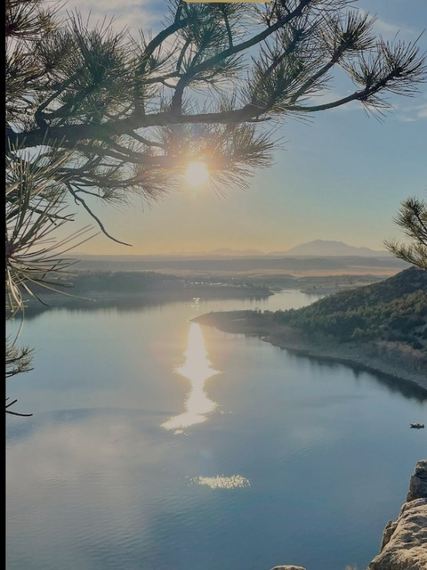 Header of itscarolinesugar