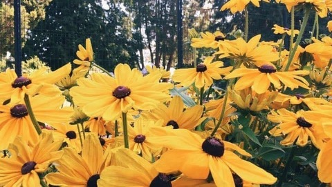 Header of itsmfnkaykay