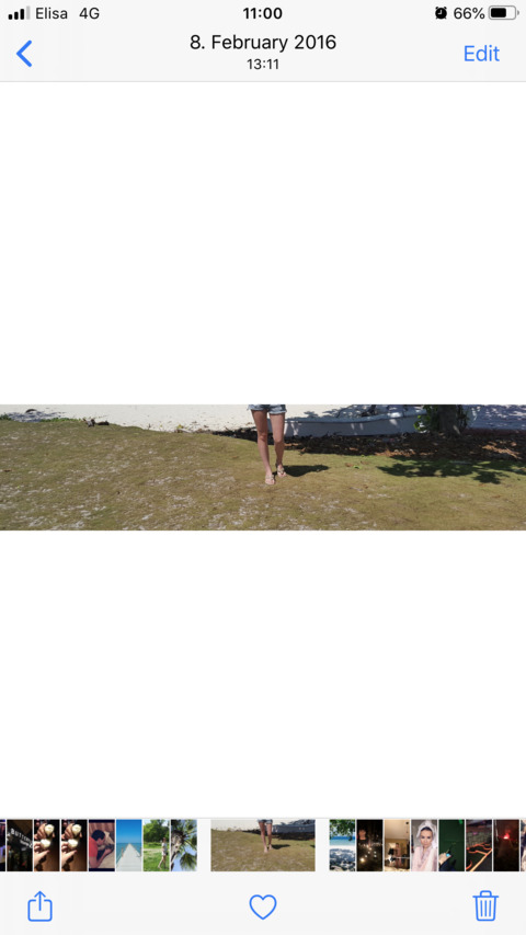 Header of janicee