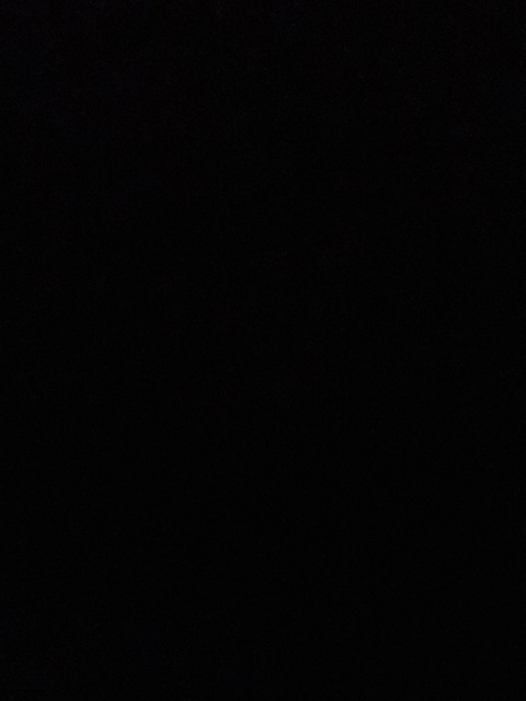 Header of janieceandisaiah