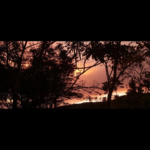 Header of jeefo06