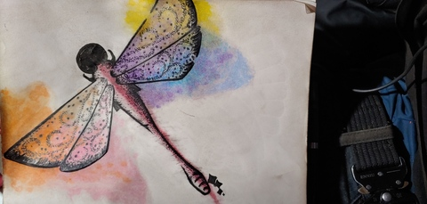 Header of jelly-feesh