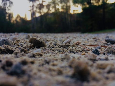 Header of jenny_kerson20