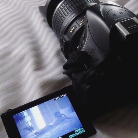 Header of karenglv_a