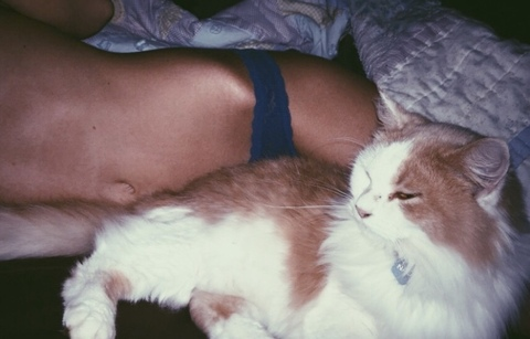 Header of katqueenkittymean