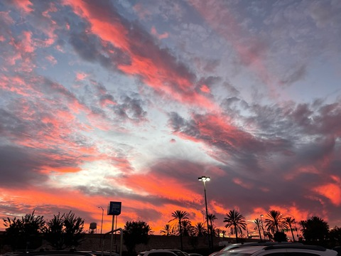 Header of kekelovees