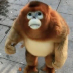 KielbasaSir kielbasasir Leaked OnlyFans 

 profile picture