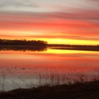 Onlyfans leaked kingofthesouth94 

 profile picture