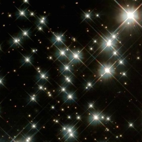 Header of kittifairi